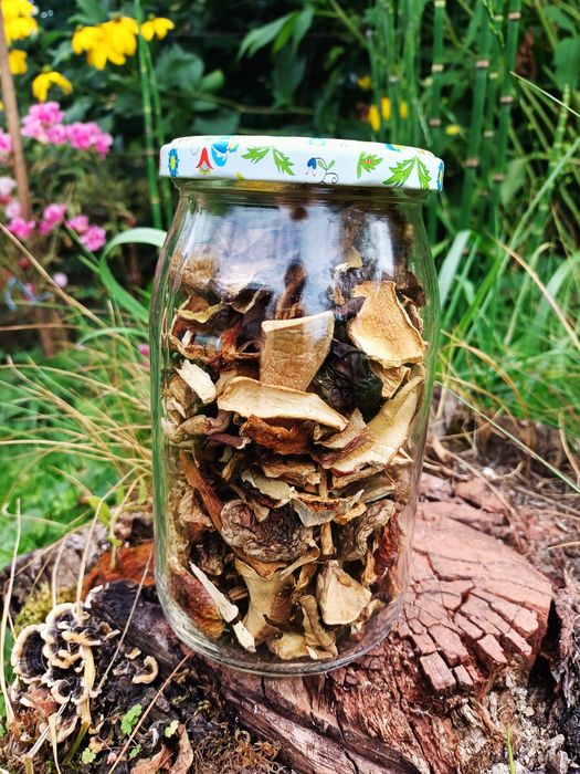 Grzyby suszone, mix w słoiku