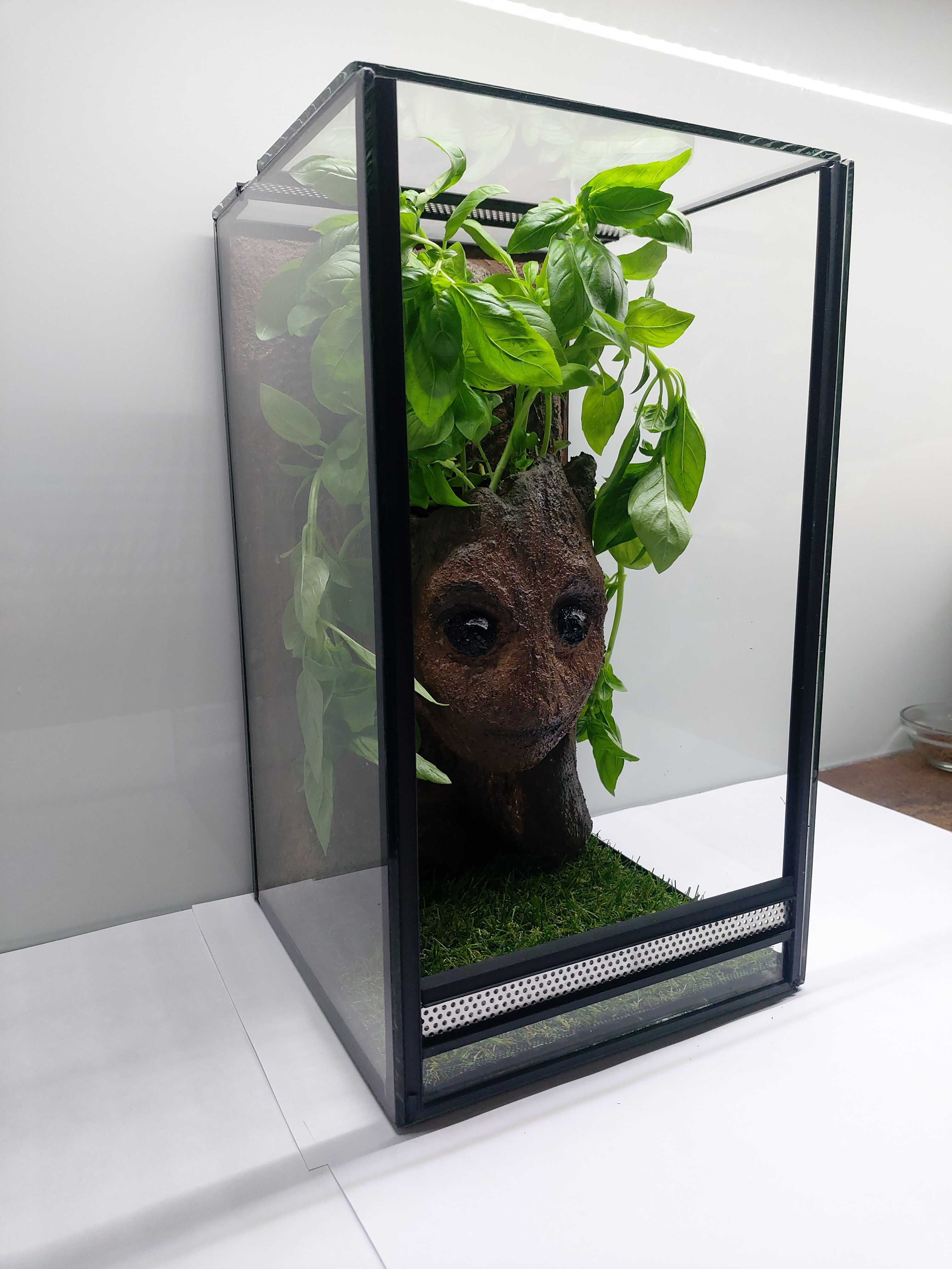 Terrarium dla patyczaków, straszyków gekona płaczącego TW22G AquaWaves