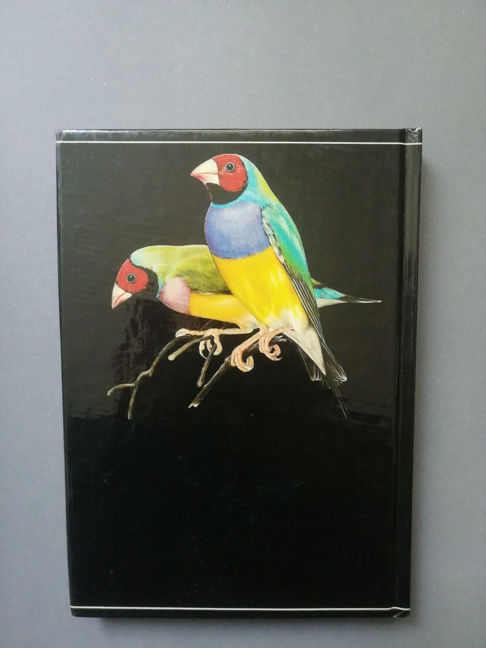 Ptaki ozdobne Stanislav Chvapil 1985 ornitologia hobby