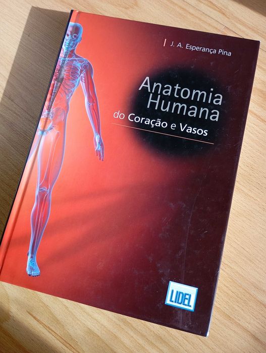 Anatomia coração e vasos
