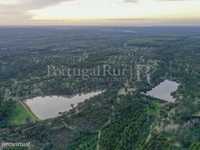 Herdade florestal com 293 hectares no Ribatejo