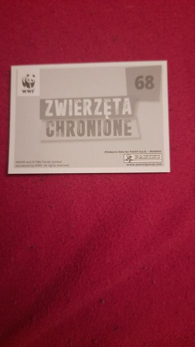 Naklejka wwf 68 do albumu