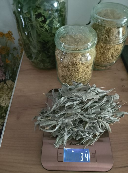 Zestaw ziół suszonych naturalnie