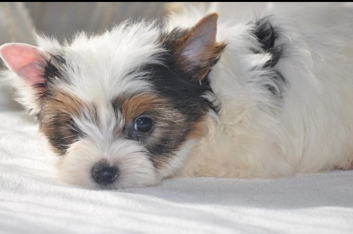 Милі дівчата хлоп'ята позитивки, документи є