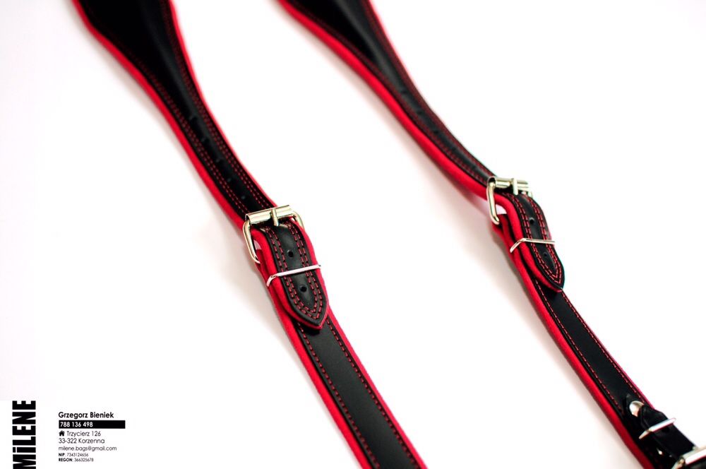 Pasy akordeon 96/120 basów, skóra nat. Model Folk