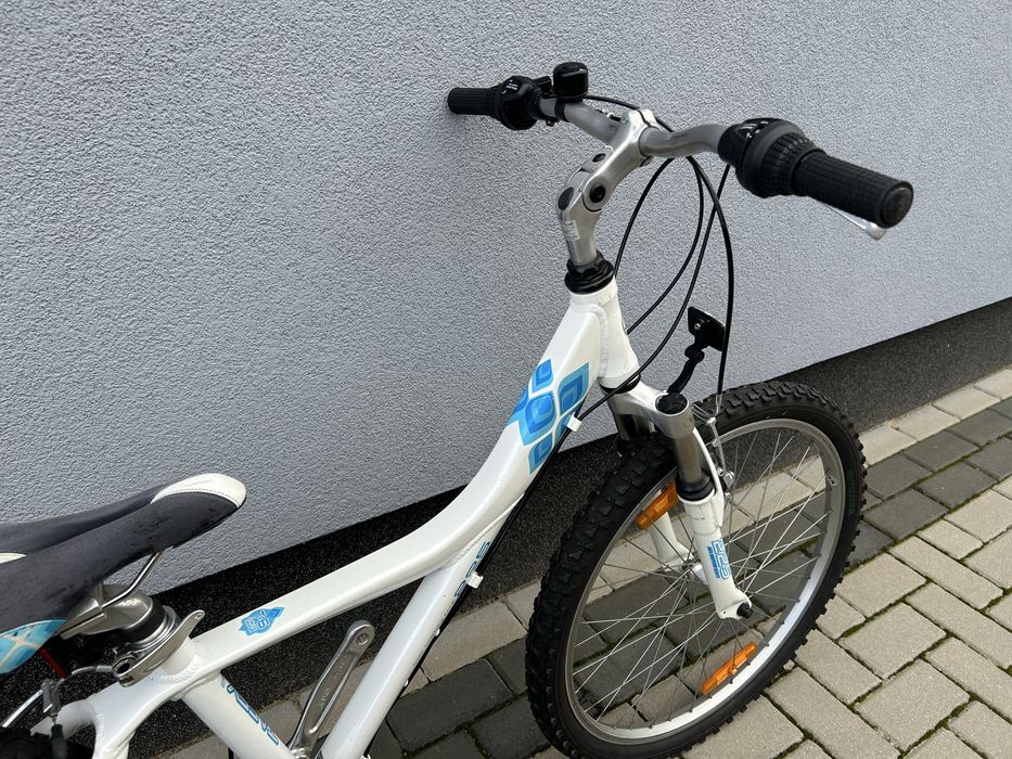 Rower Giant Taffy 24”