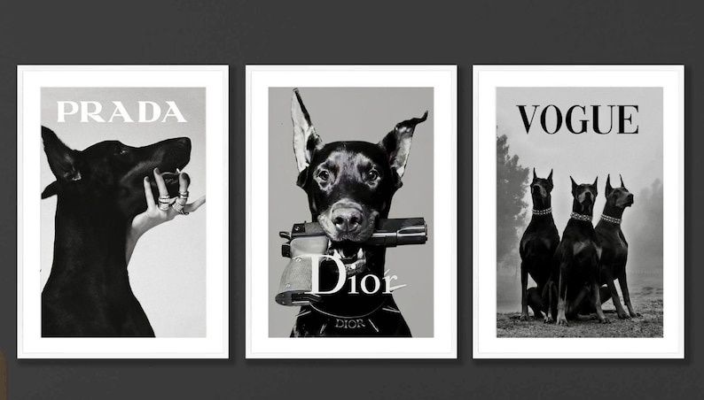 Plakaty Doberman Prada Dior zestaw 3 sztuki i 50x70 cm