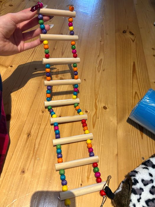 akcesoria dla gryzoni