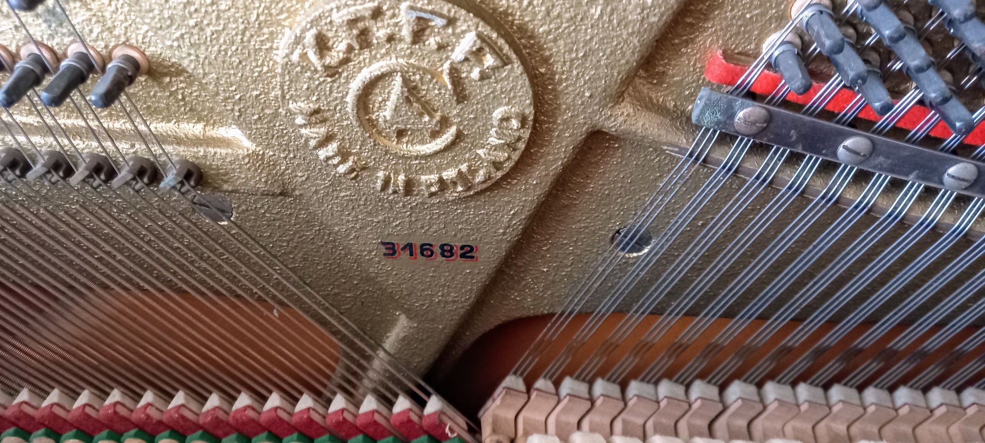 Pianino Calisia w dobre ręce