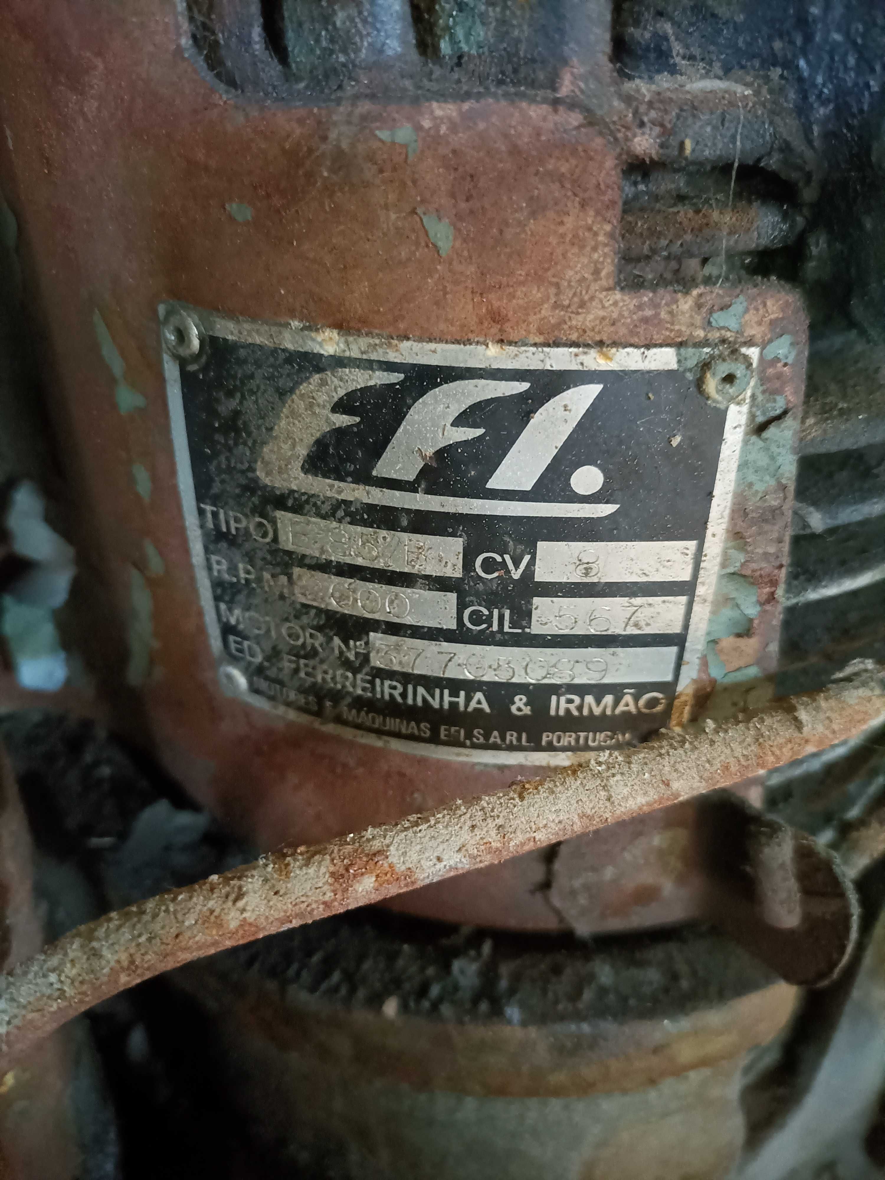 Motor EFI para Grua e não só