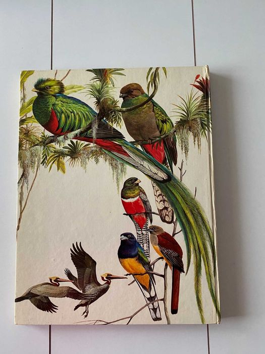 O Grande Livro das Aves 1970 (ctt grátis)