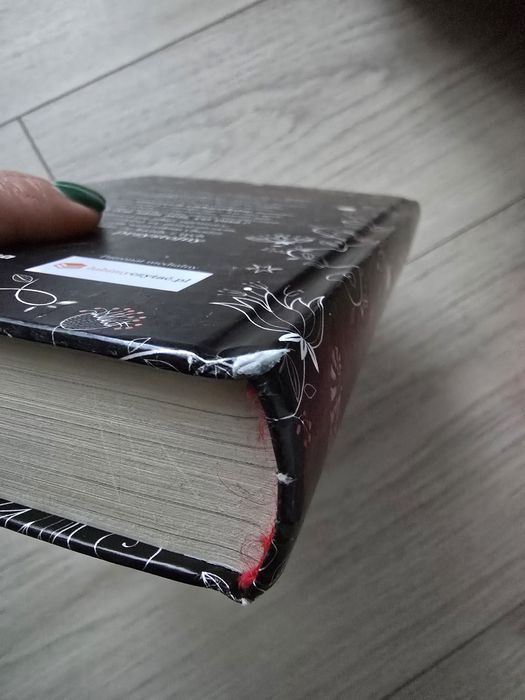 Silver pierwsza księga snów Kerstin Gier