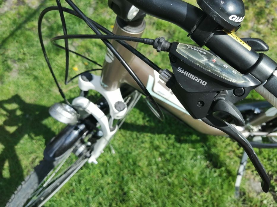 Rower Giant liv 18 argento 3W