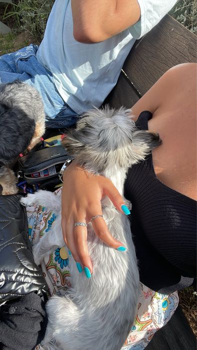 Pet sitting, Dog waling e muito mais :)