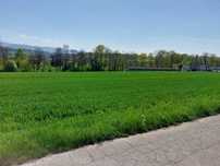 Działka rolna Mazańcowice 1,8 HA
