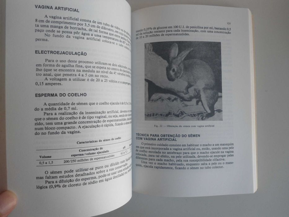 Coelhos-Alojamento e Maneio de J M Molinero Zapatero