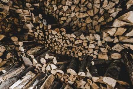 Широкий выбор пород дров с оперативной доставкой в Одессе и области