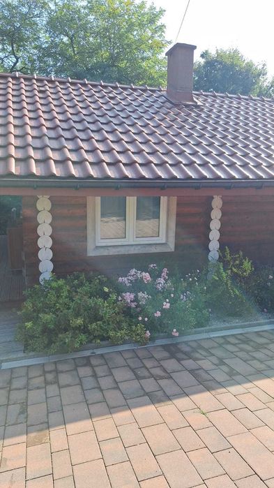 Domek sauna/bania ruska do wynajęcia