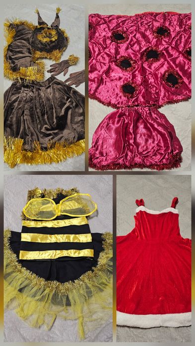 Оренда, продаж ,Новорічний костюм білочка, сонечко, бджілка  2-13 р