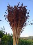 Vendo ramos de flores naturais