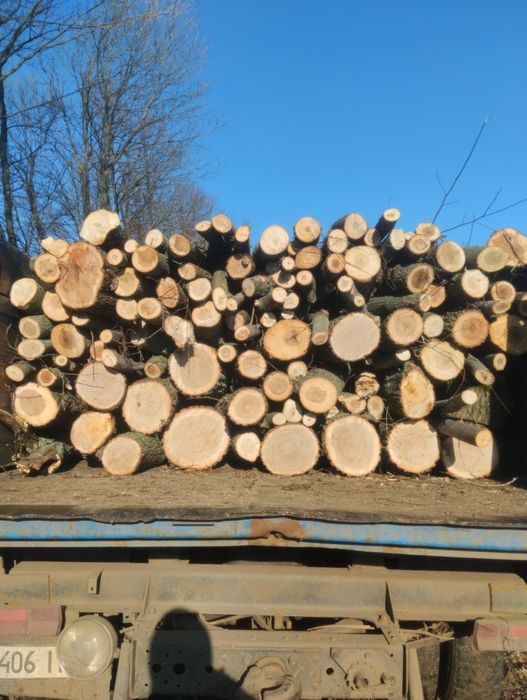 Продам дрова твёрдых/мешаных пород (рубаные,чурки, метровки,)
