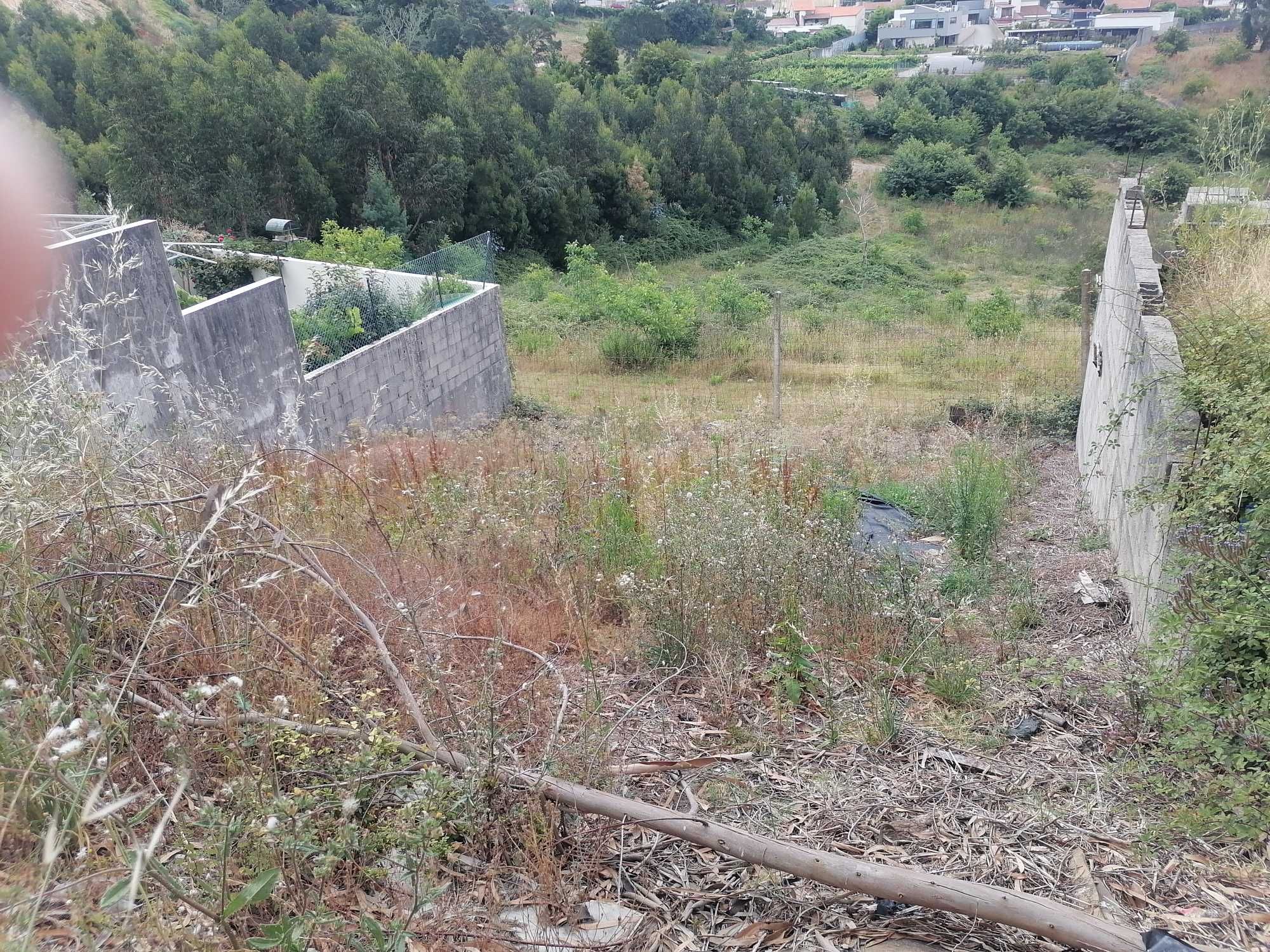 Terreno para Moradia 3 frentes