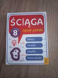 Ściąga j. Polski kl 8