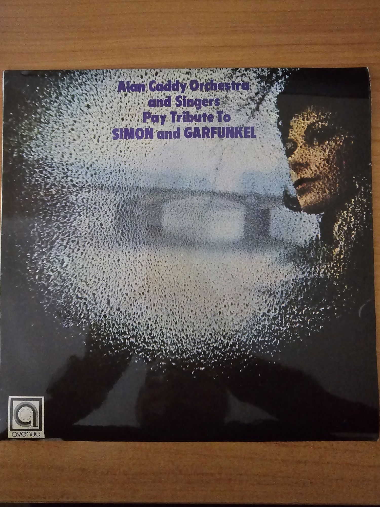 Alan Caddy Orchestrą and Singers pay  Tribute to Simon and Garfunkel