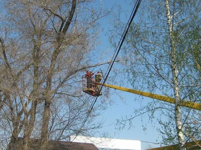 Видалення. Валка. Спилювання небезпечних, аварійних дерев