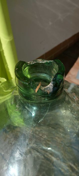 Gąsior dymion butla na wino duży