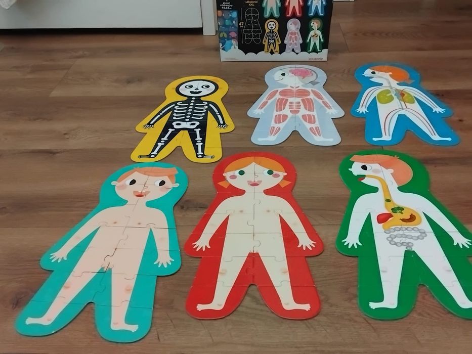 Puzzle Czuczu Ciało Człowieka Duze