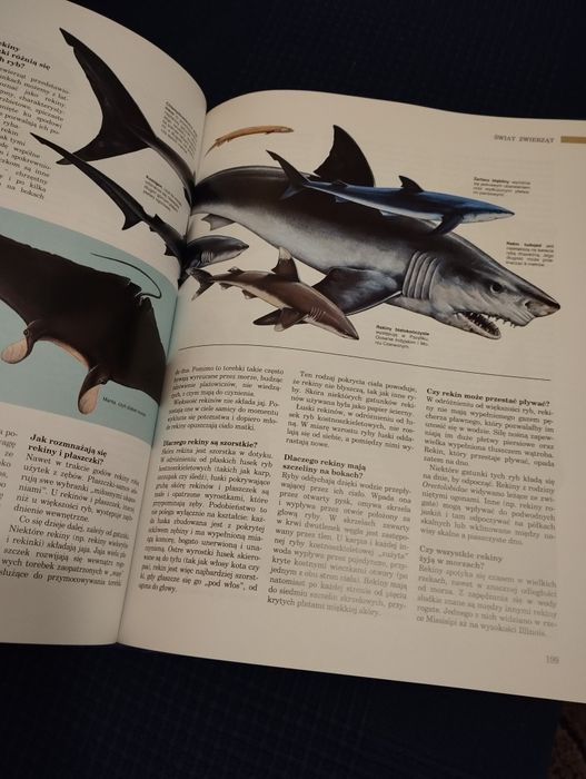 ABC przyrody - album