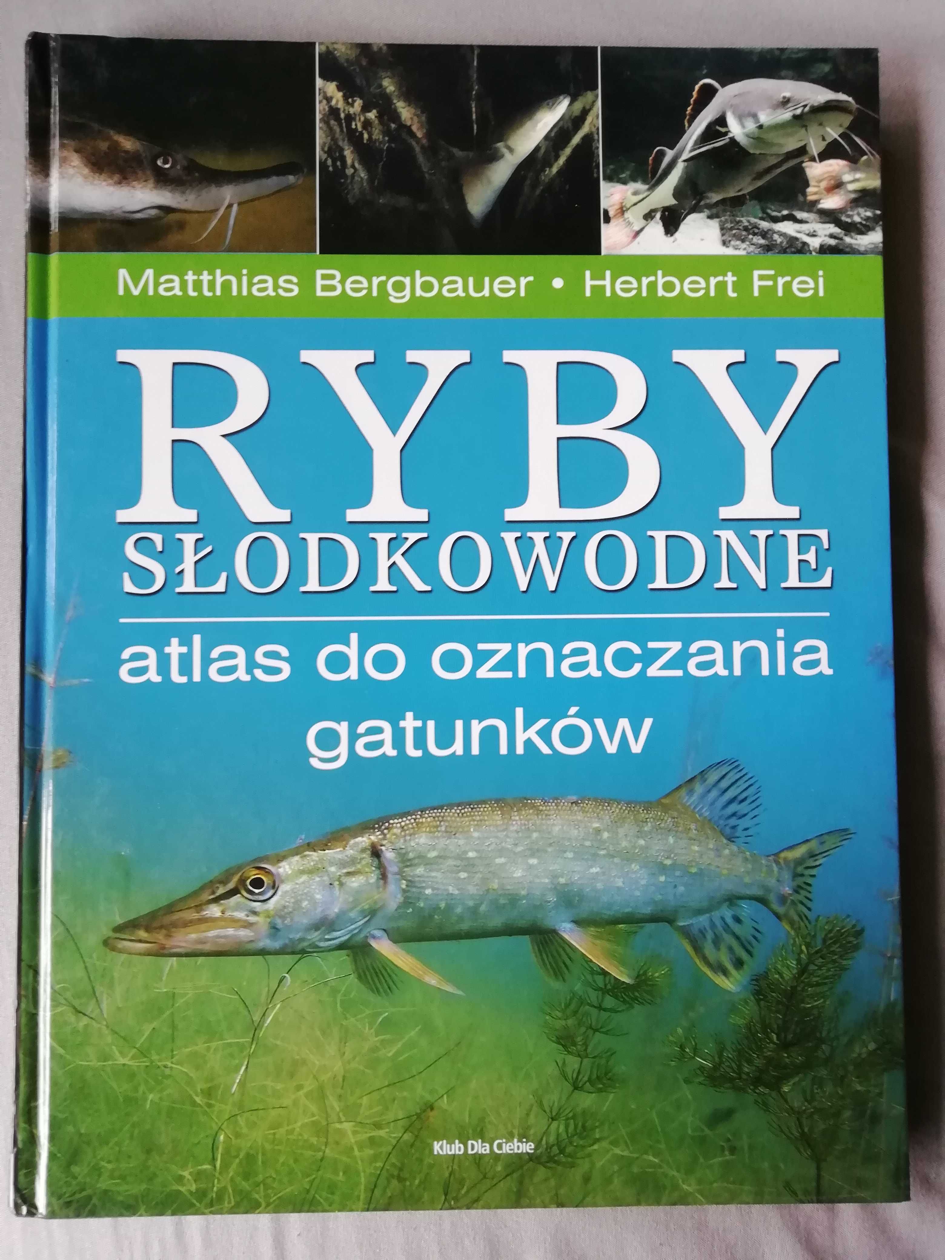 Ryby słodkowodne atlas do oznaczania gatunków - Bergbauer