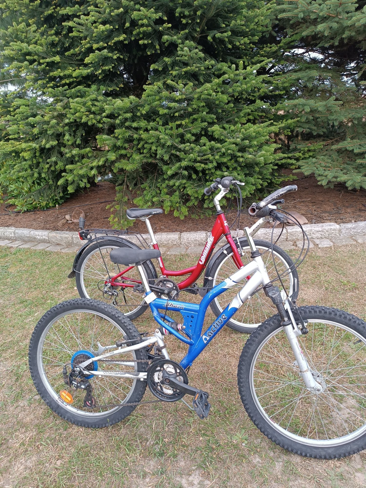 Rower 2szt w kpl. Unibike i Active Shark koła 24"i