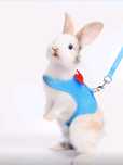 Peitoral para coelhos