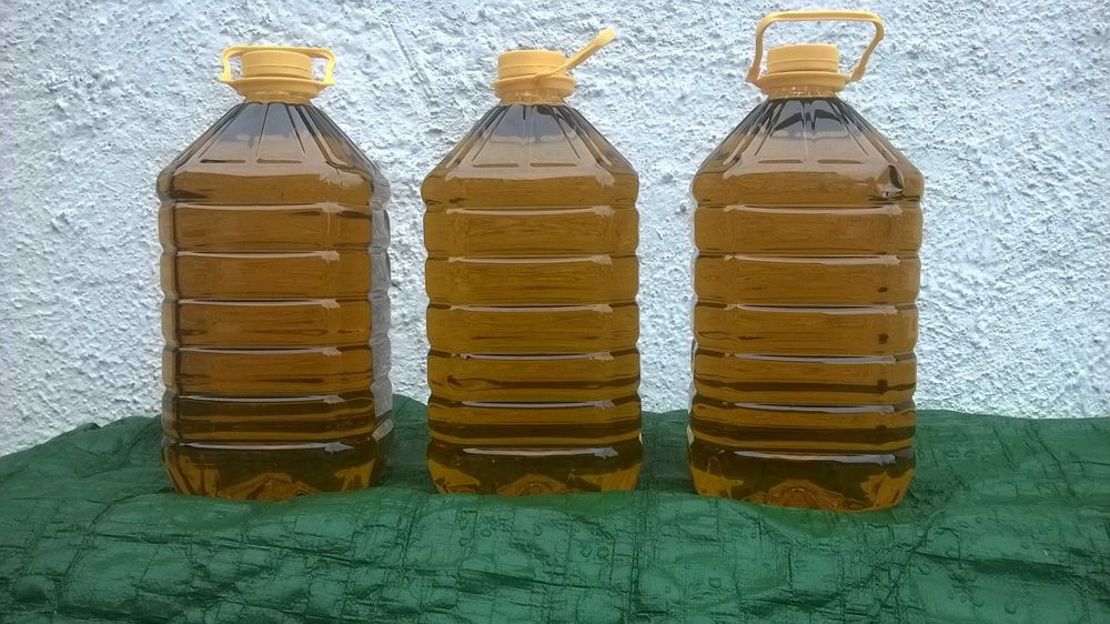 Olej rzepakowy tłoczony na zimno 5L NIERAFINOWANY