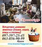 Зоогостиница(передержка) для животных Дом Пушистый друг.