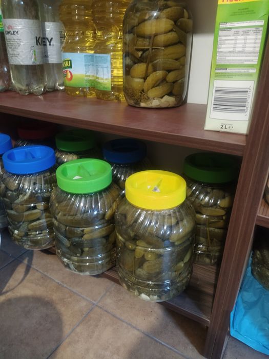 Ogórki kiszone z własnego ogródka