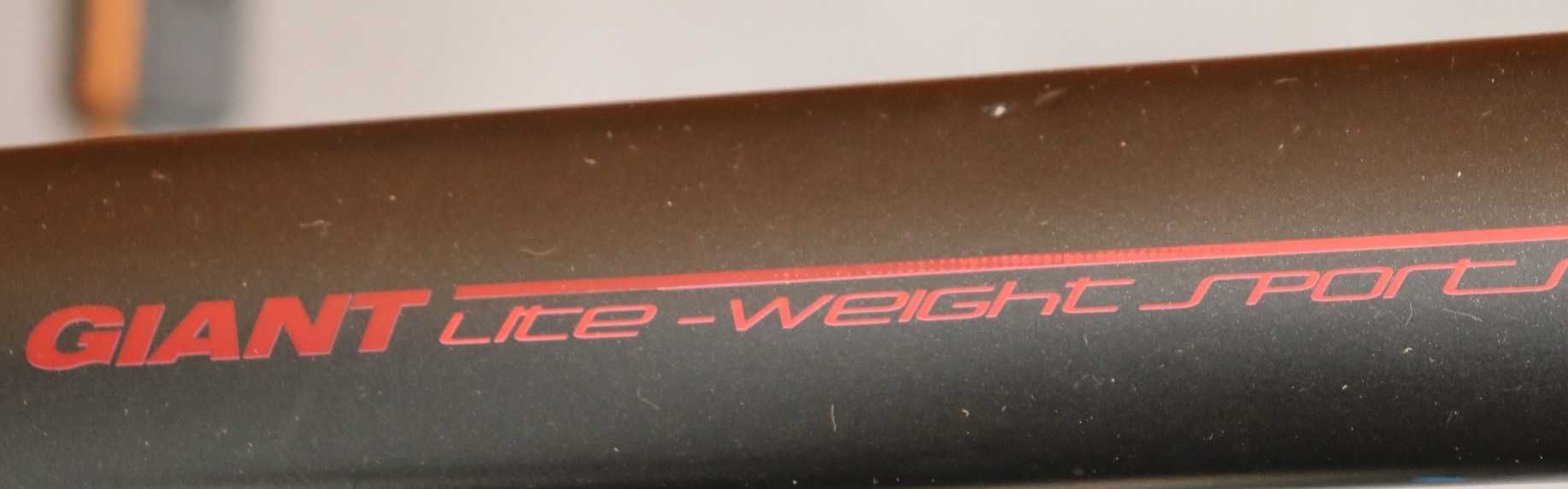 Rower męski Giant Aero. H 55. I inne rowery z Holandii