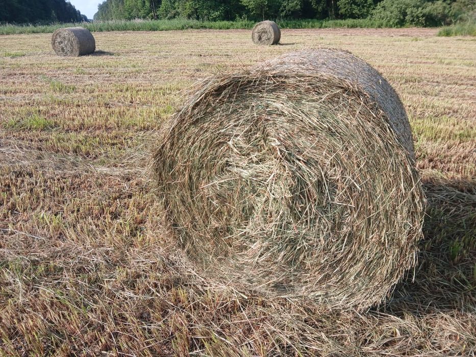 Sprzedam siano  słomę