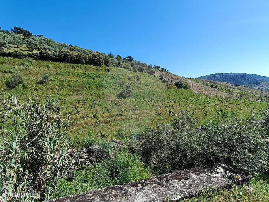 Terreno  para venda