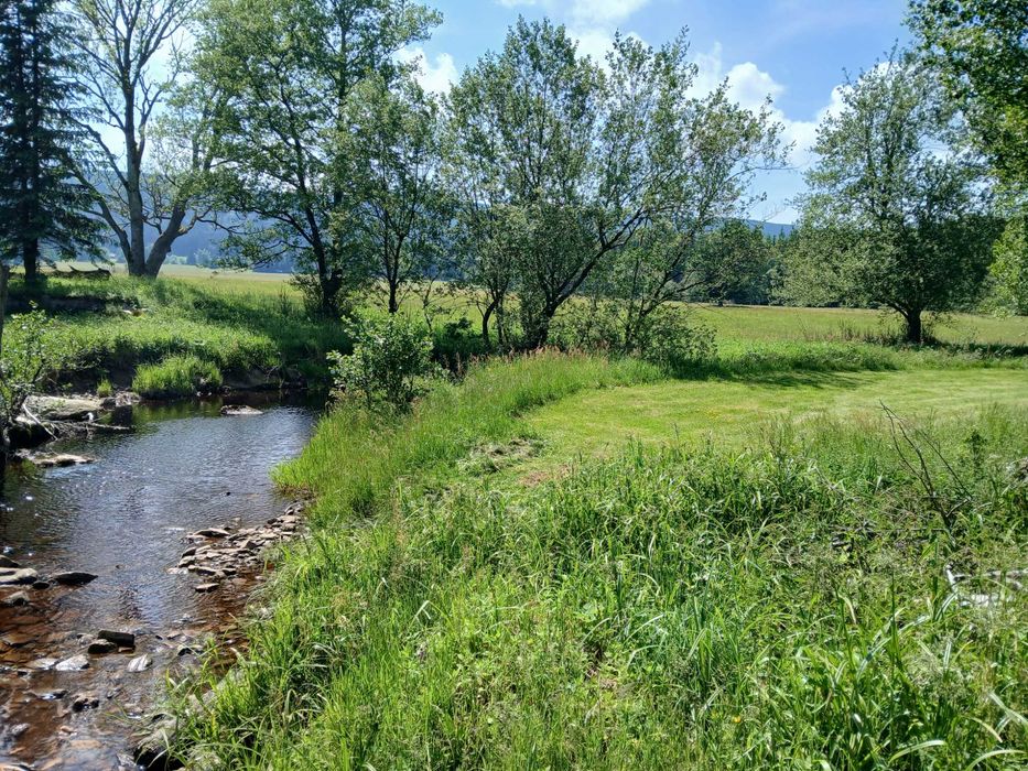 Noclegi Zieleniec, Czarna Góra