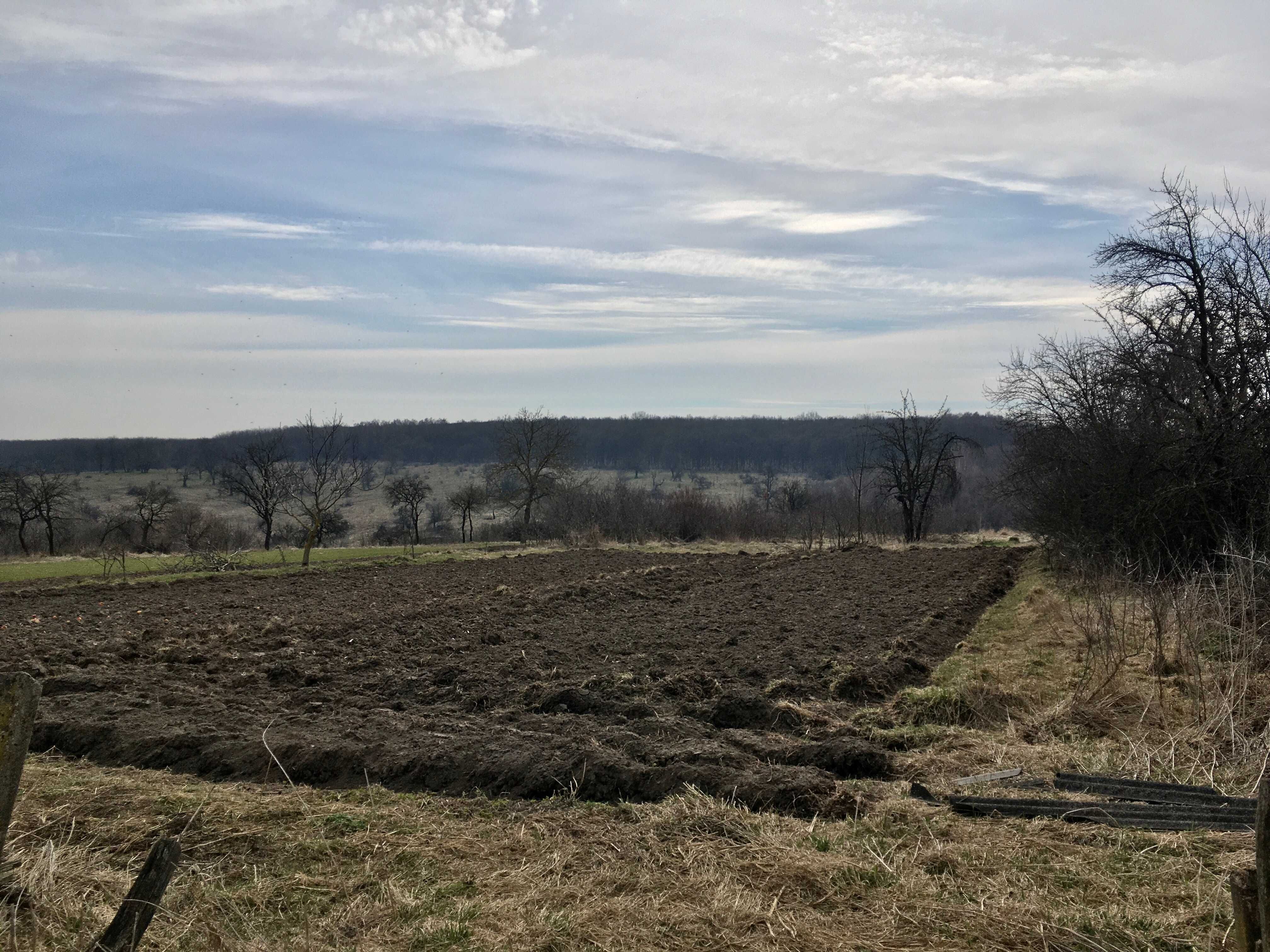 Будинок з городом в Летичівському районі