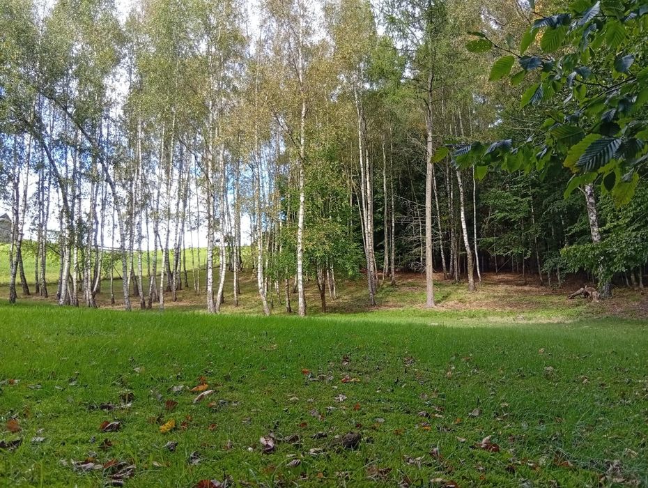 Na sprzedaż działka 2000 m² – Piekło Górne, gm. Przywidz