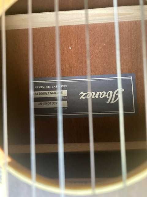 Guitarra Ibanez AEG10NⅡ