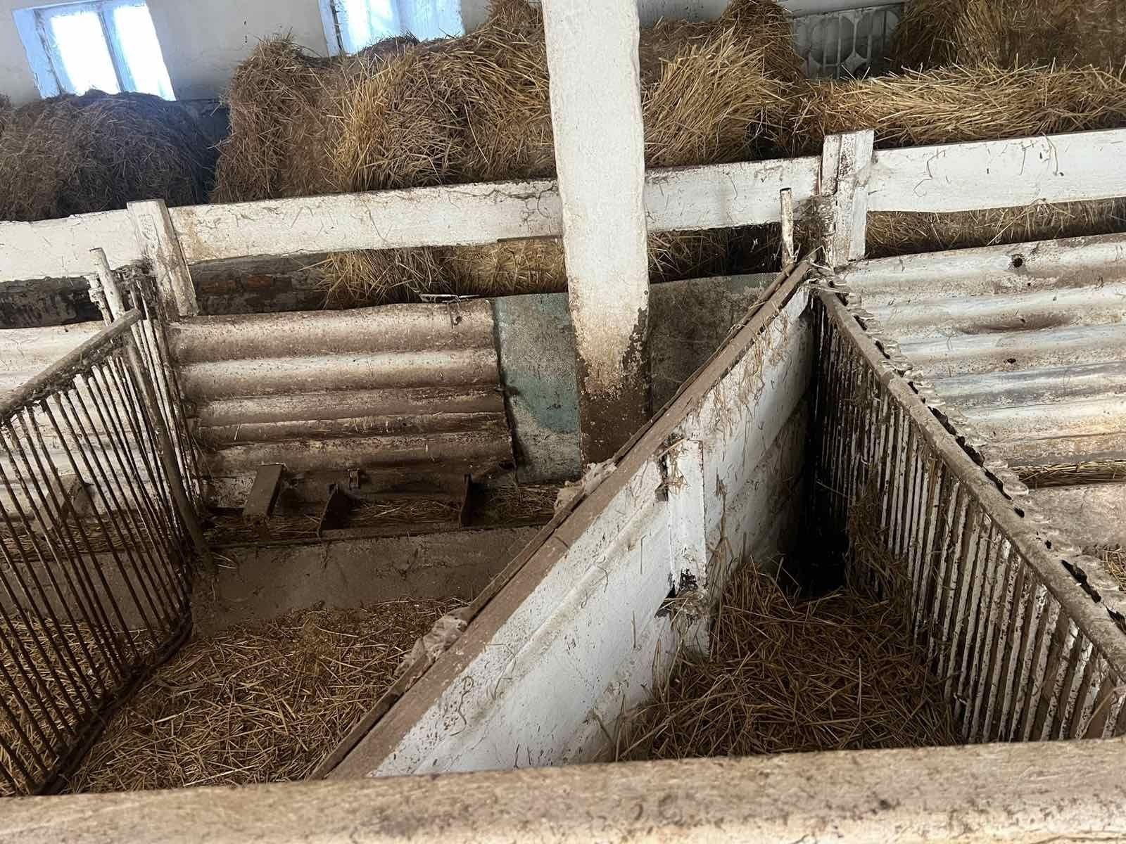 Тваринницька ферма