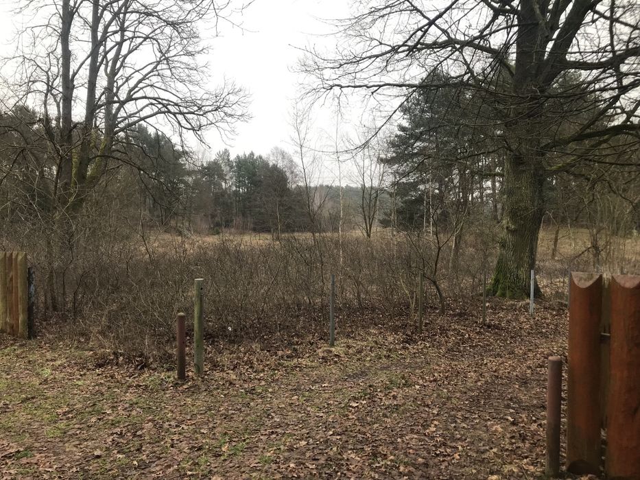 Działka 3180m2 przy lesie.