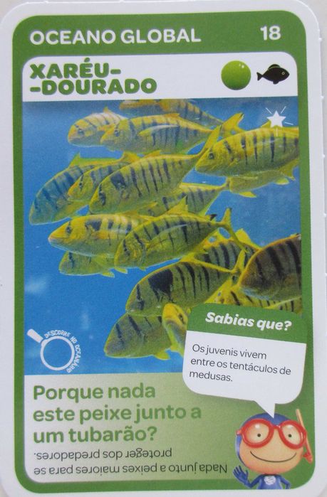 Super Animais 2 - - - Vida Marinha - Cartas Soltas Pingo Doce - Cromos