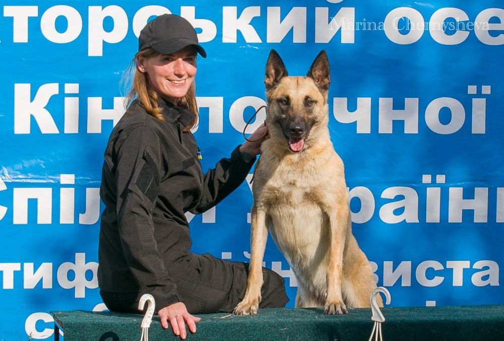 Послуги кінолога