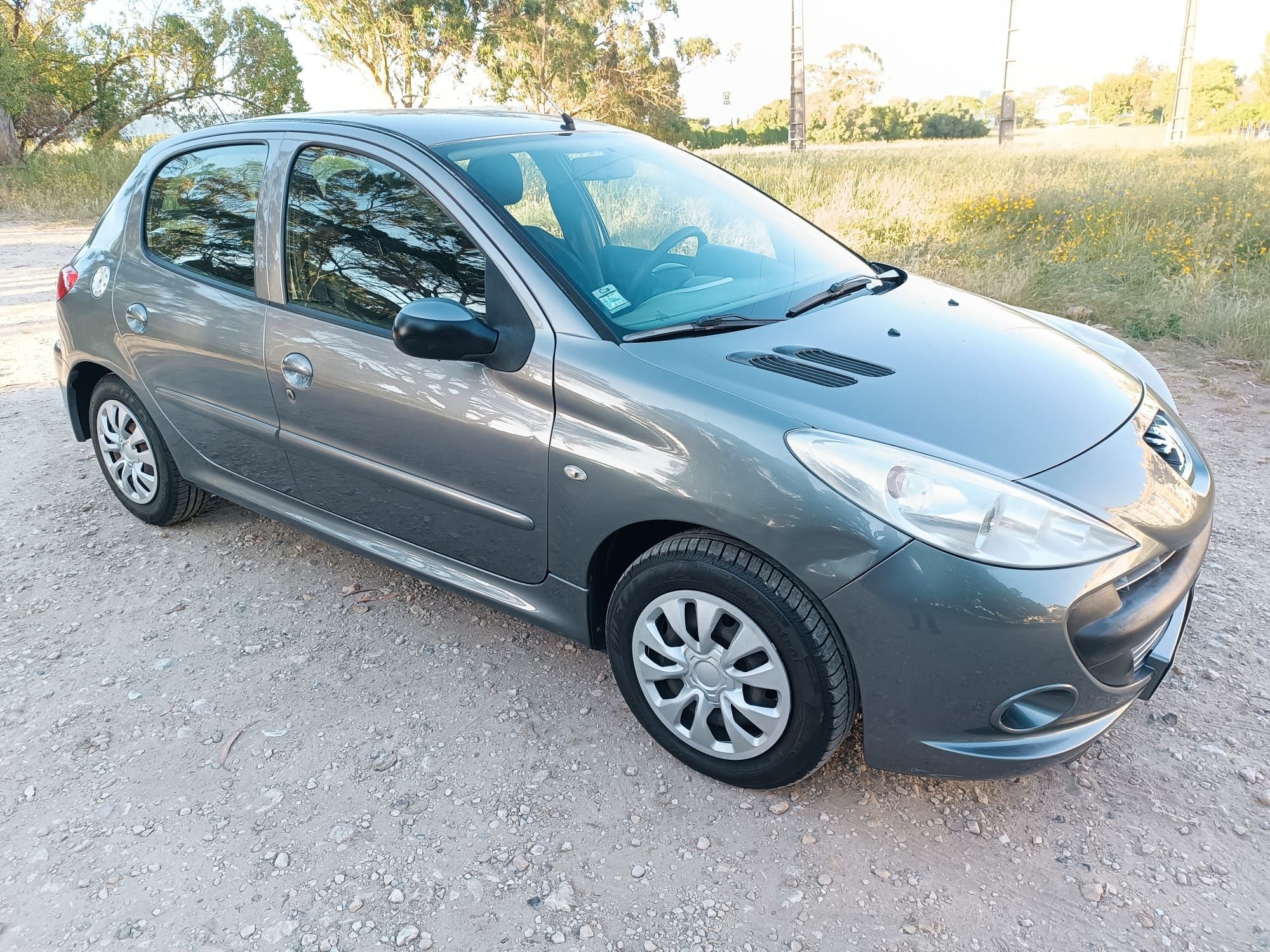 Peugeot 206+  de 2009
